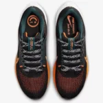 Pegasus 40 Black