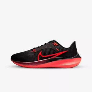 Pegasus 40 B2