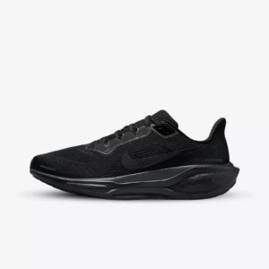 Pegasus 41 Black