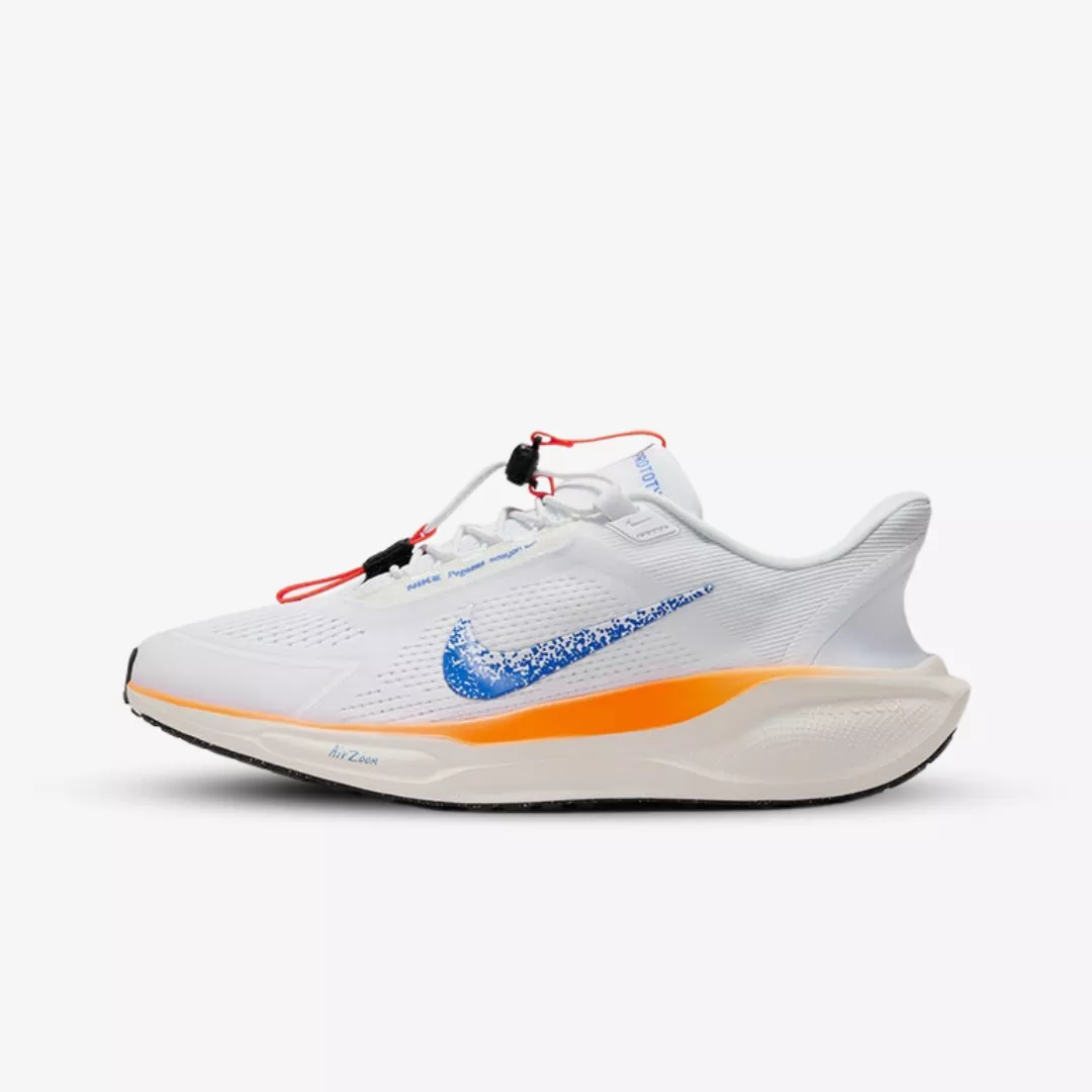 Pegasus 41 Flyease MK