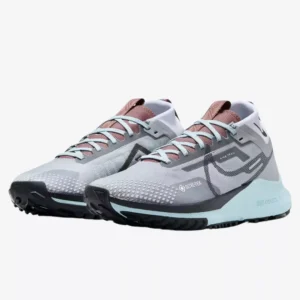 Pegasus Trail 4 GTX G2